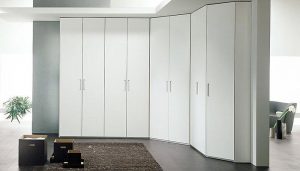 Modern, spacious room featuring a sleek white fitted wardrobe, gray rug, a small black chest, and hints of greenery, emanating a minimalist aesthetic.